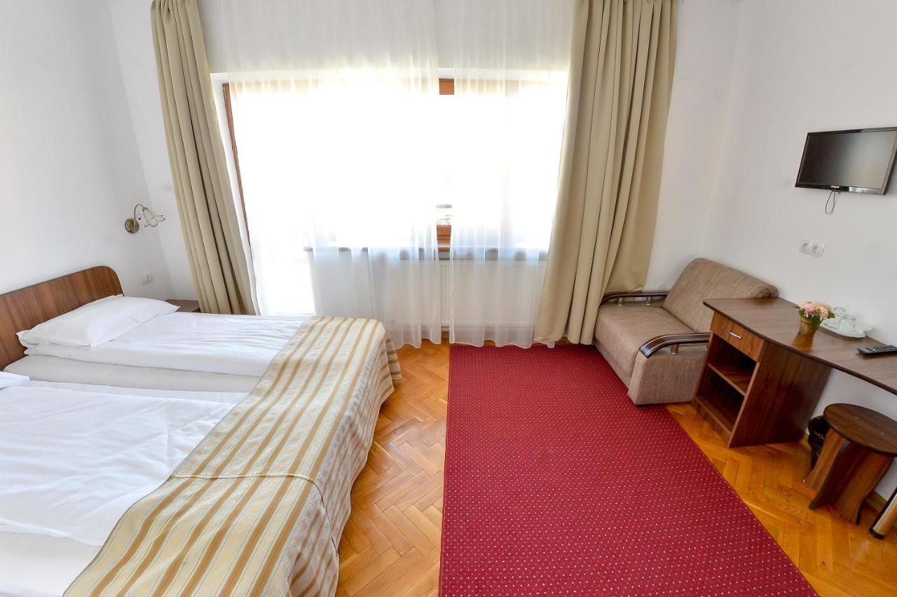 Pension Alexia Sibiu Bagian luar foto