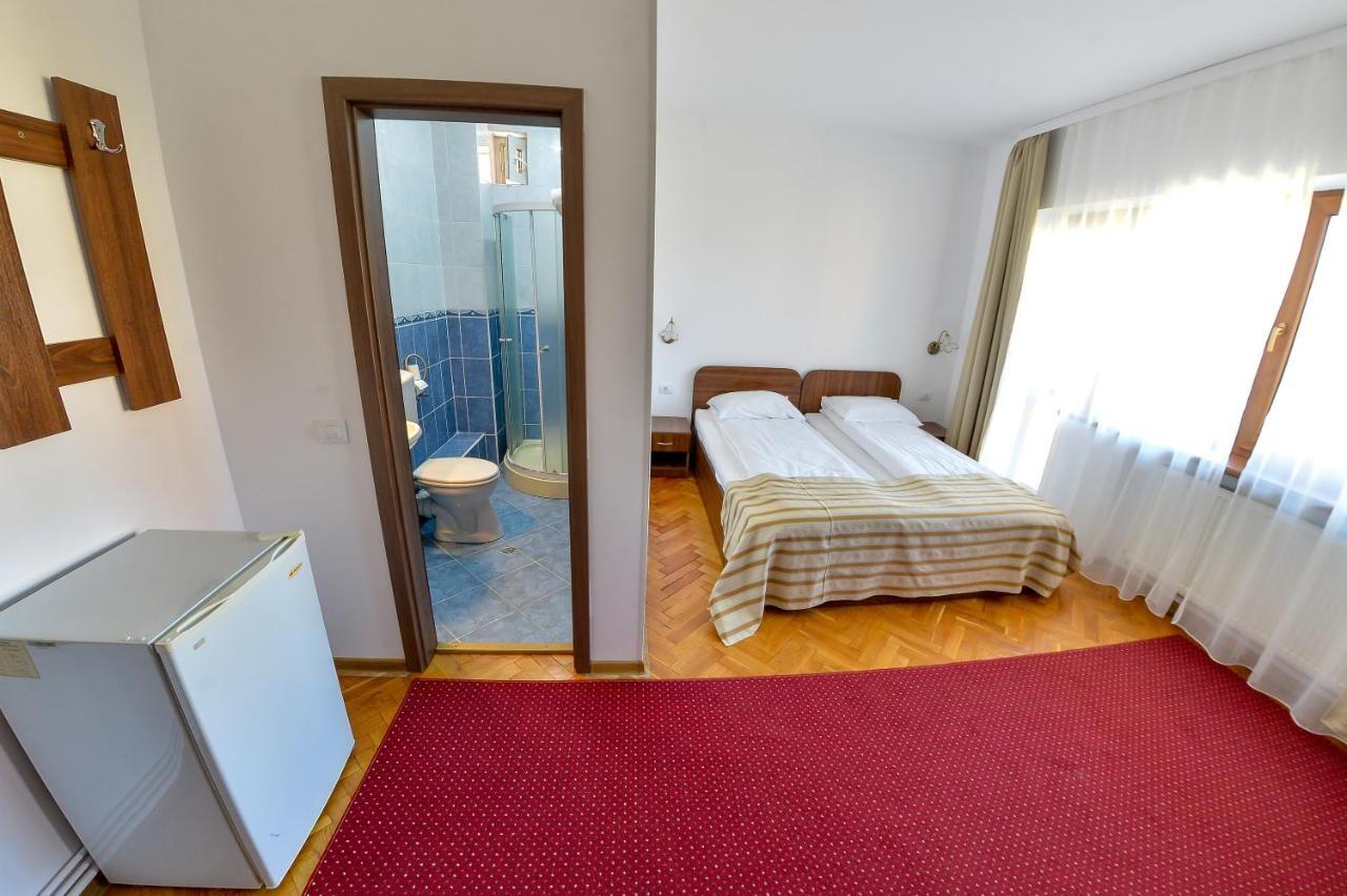 Pension Alexia Sibiu Bagian luar foto