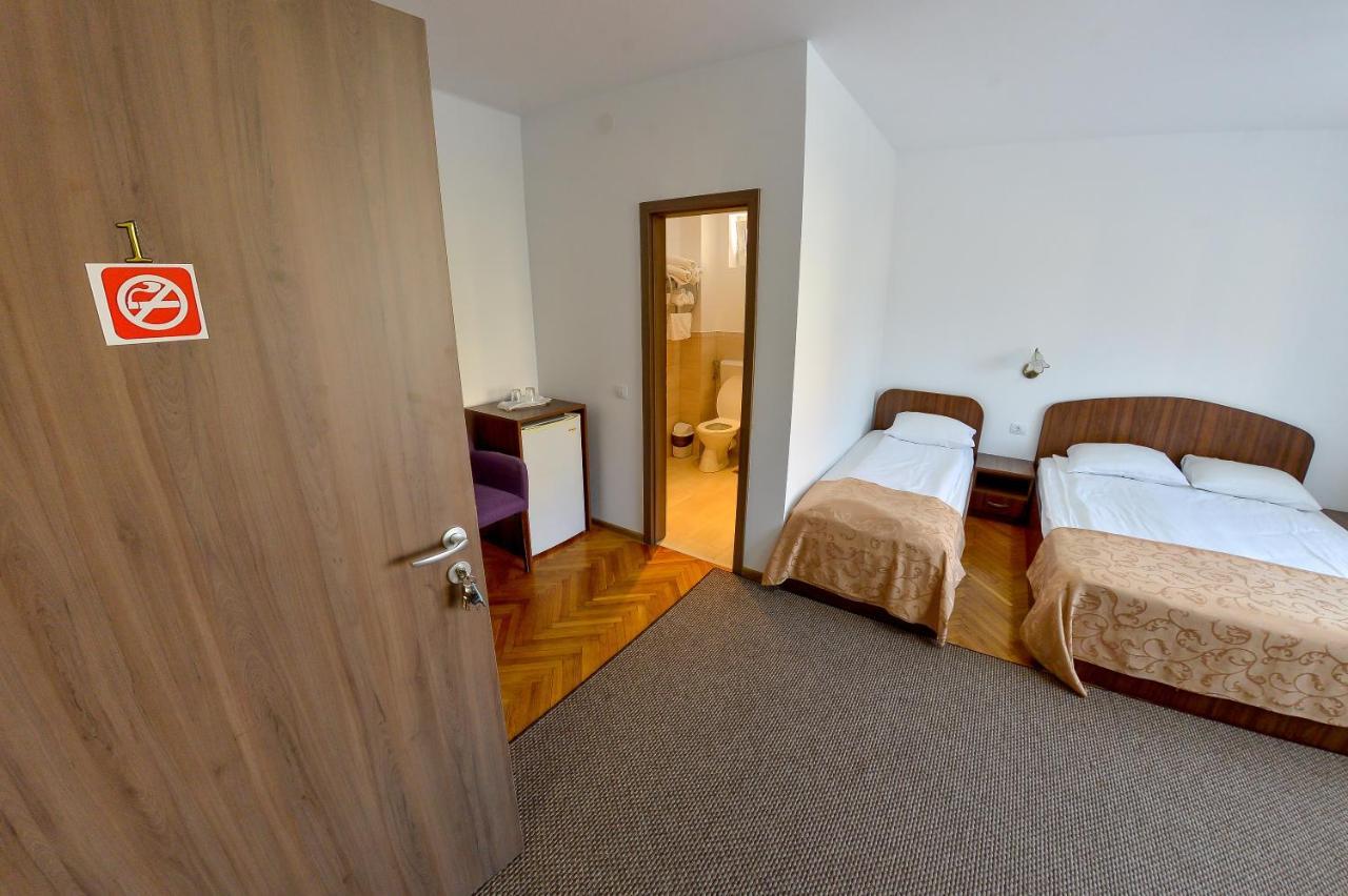 Pension Alexia Sibiu Bagian luar foto